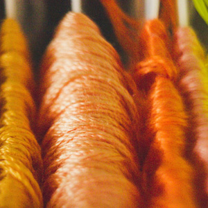 Boton-web-Ecolife-300