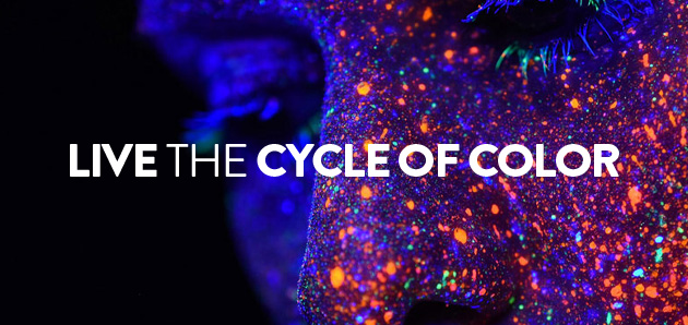 Ecolife-Banner-Web-Belda-llorens